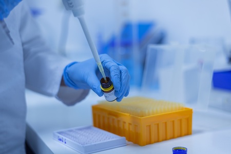 Type examination for EAC conformity assessment 