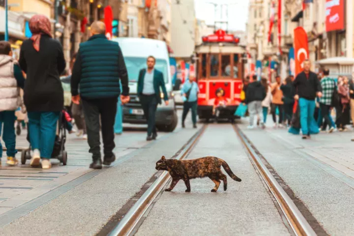 Türkiye’de adli sicil kaydı: alınması, apostil ve legalizasyon
