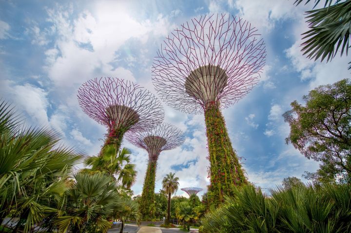 Singapur çevrimiçi e-apostil uygulamaya hazırlanıyor Singapur çevrimiçi e-apostil uygulamaya hazırlanıyor