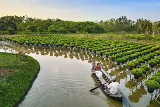 Vietnam'da kullanılmak üzere Amerikan belgelerinin yasallaştırılması 2025'ten itibaren sadece ABD'de mümkün olacak