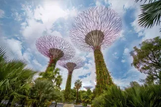 Singapur çevrimiçi e-apostil uygulamaya hazırlanıyor